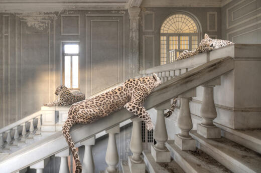 Cheraine Collette — Leopards Never Lose Their Spots
