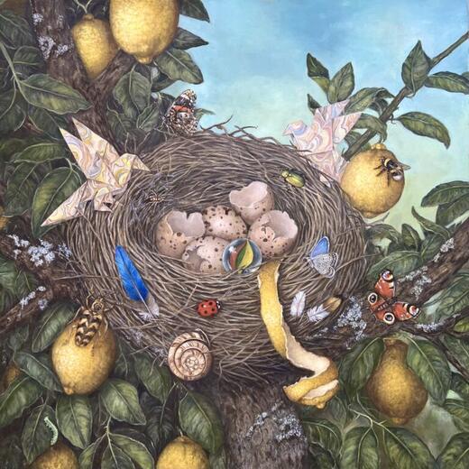 Hisham Echafaki — Abandoned Nest