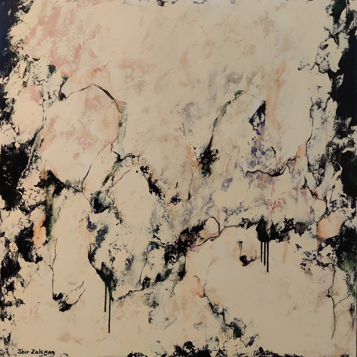 Zalcman, Shir